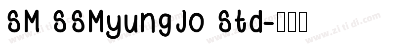 SM SSMyungJo Std字体转换